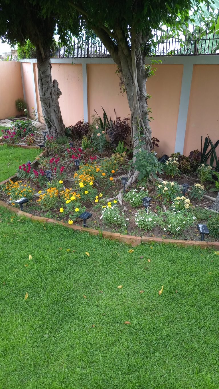 Gardening Services Pattaya