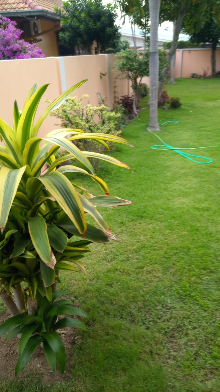 Gardening Services Pattaya