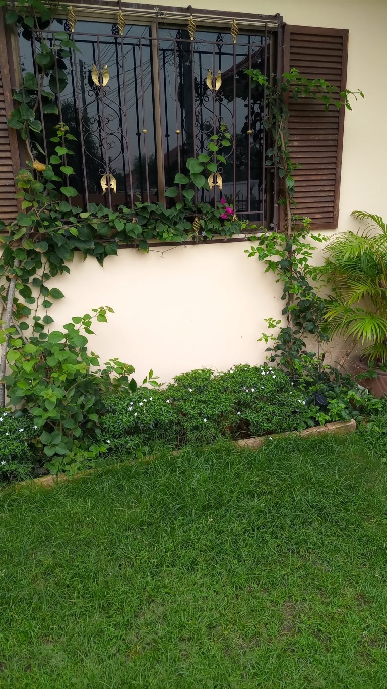 Gardening Services Pattaya
