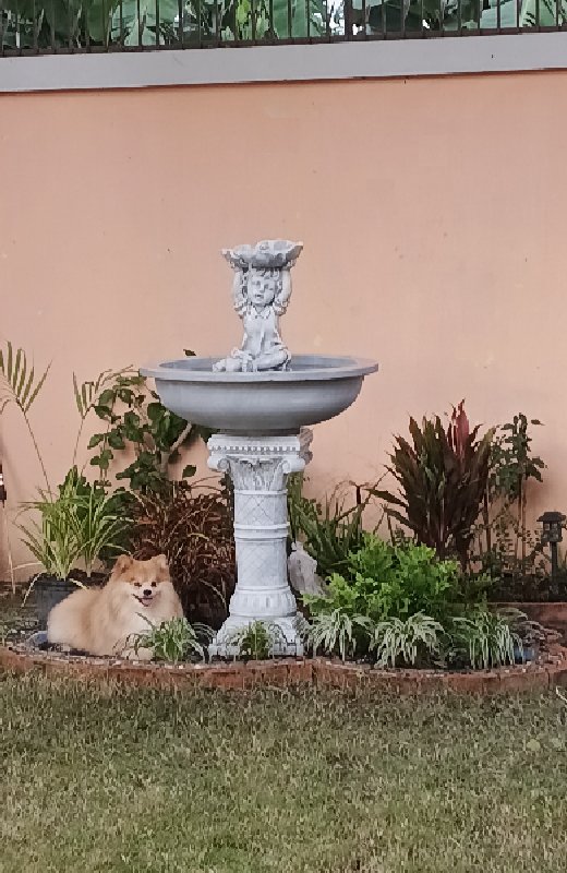 Gardening Services Nongprue